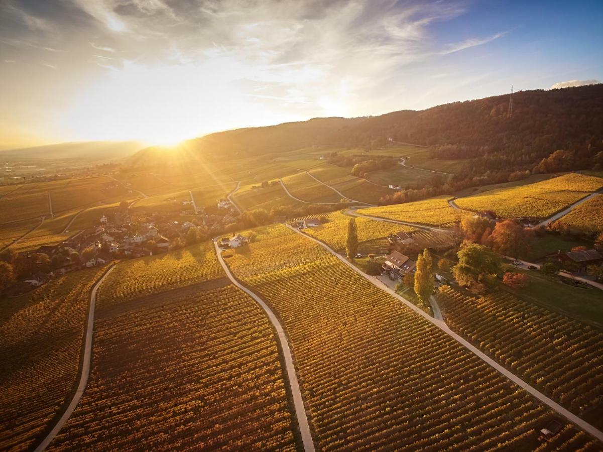 Domaine Beauregard Otel Rolle Dış mekan fotoğraf