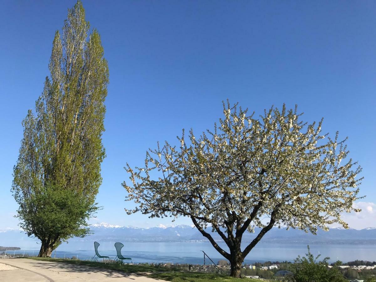 Domaine Beauregard Otel Rolle Dış mekan fotoğraf